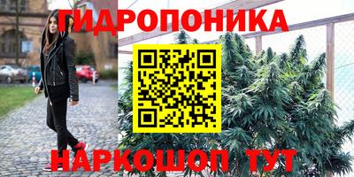 дурь Тара
