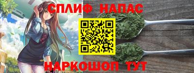 дурь Тара