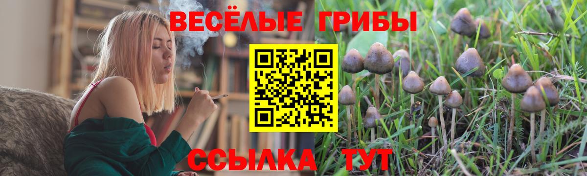 Галлюциногенные грибы мицелий Нефтекумск